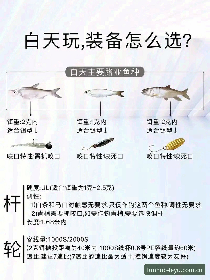 乐鱼官方网站功能详解 深度揭秘乐鱼官方网站功能详解:新手必看的完整操作指南,让你快速上手